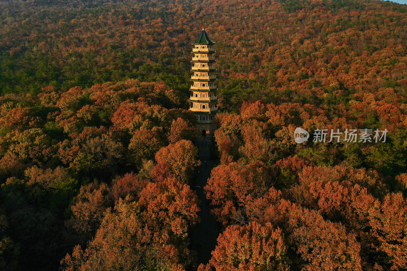 南京钟山灵谷塔航拍