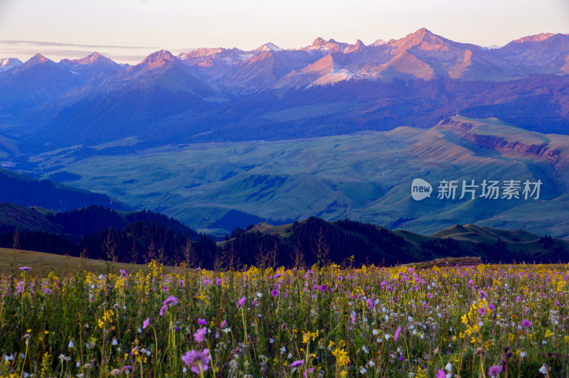 草原远山