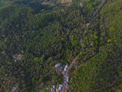 航拍被森林环绕的景迈山村庄全景