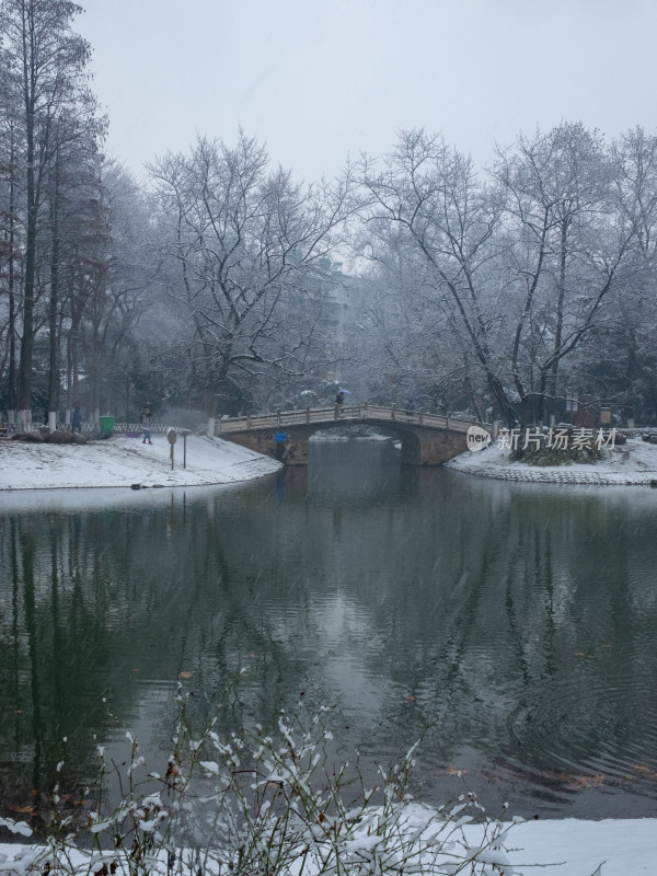 雪中树林小路 冬日唯美自然景观