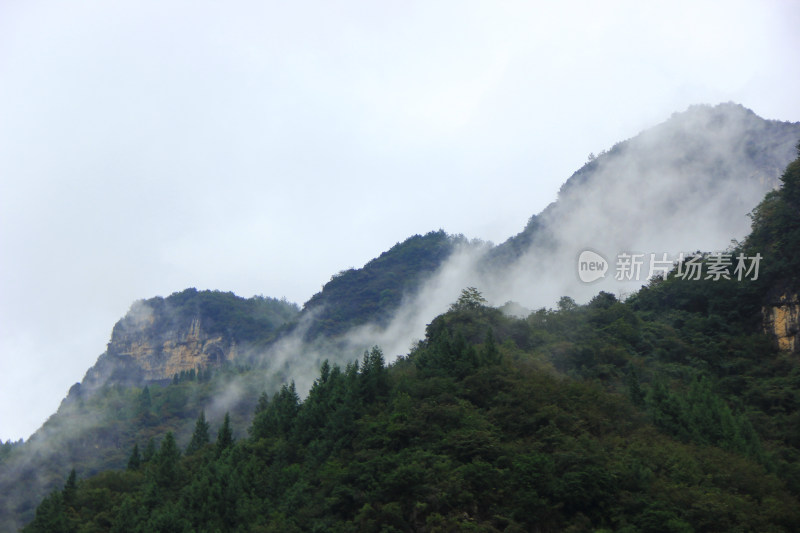 雨后深山云雾实拍