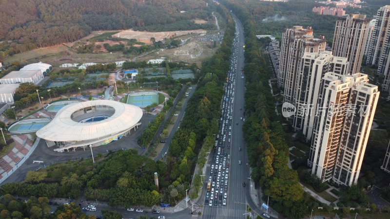 广东东莞：东城街道城市风光