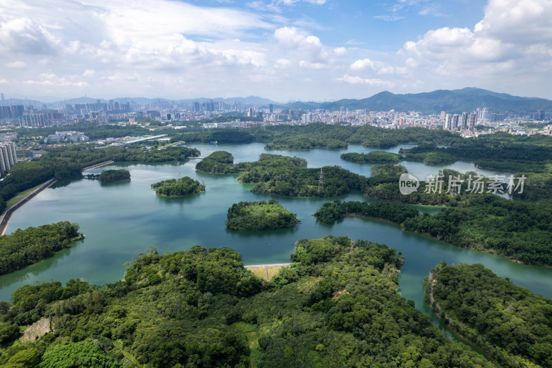 深圳龙华区茜坑水库