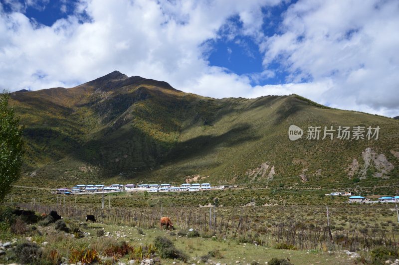 西藏沿路风景