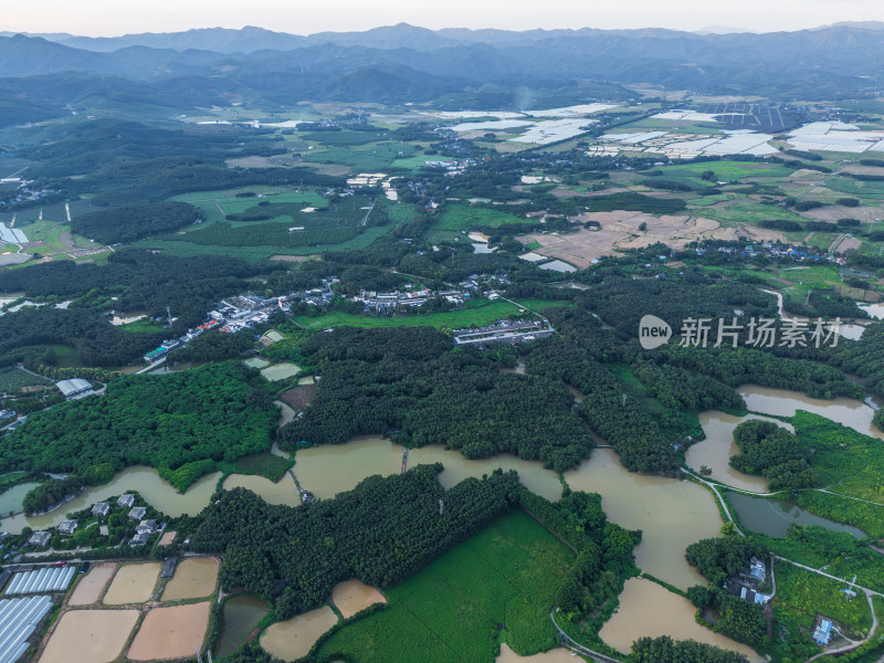 航拍农田与温室大棚交织的乡村风光