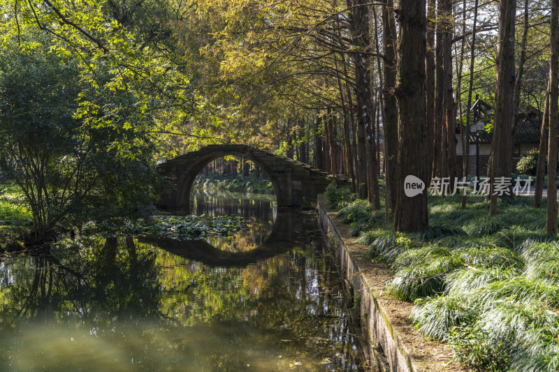 杭州西湖茅家埠江南水乡风景