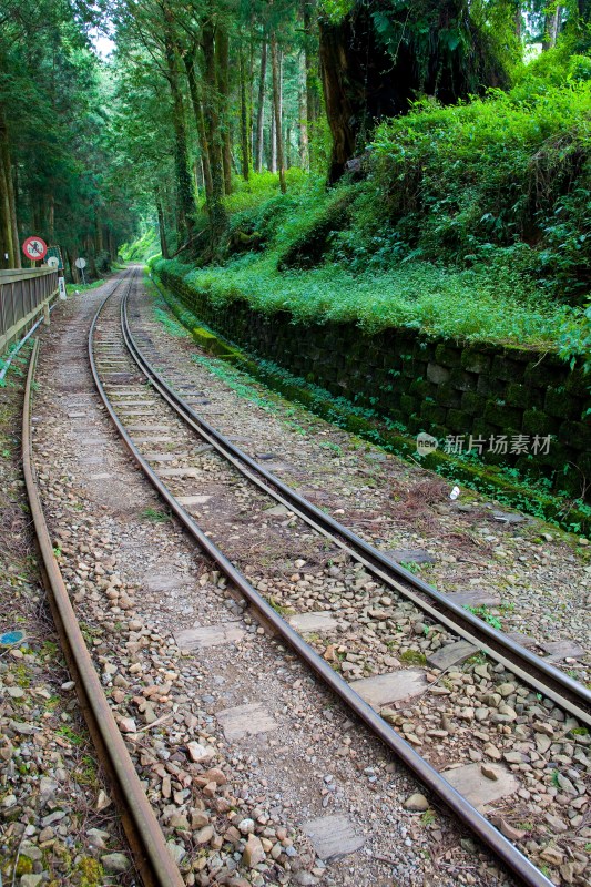 阿里山