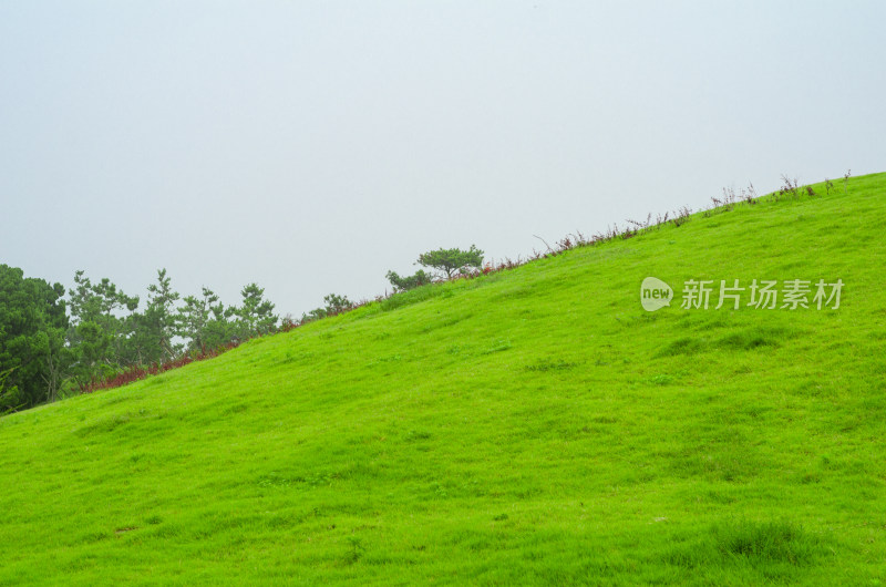 绿色的山坡和蓝色的天空