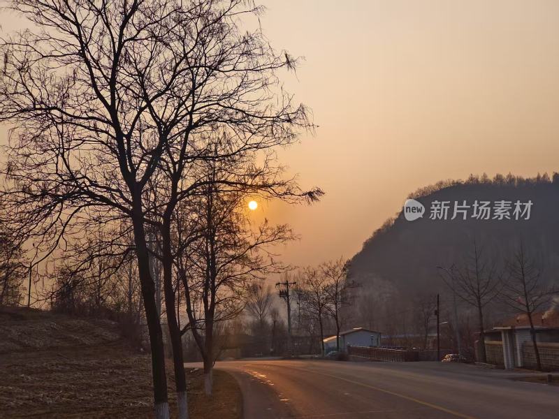 乡村道路旁树木林立的黄昏景象