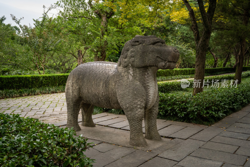 南京钟山明孝陵景区石像路夏季獬豸