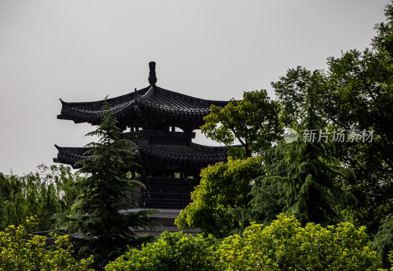 洛阳隋唐遗址植物园景点景观