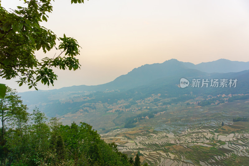 层层叠叠的元阳梯田景观