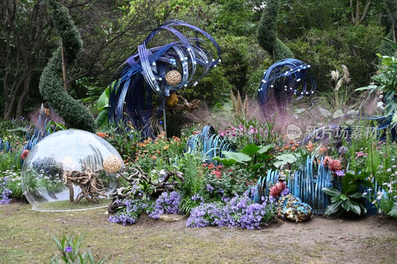 杭州植物园第十届杭州菊花展