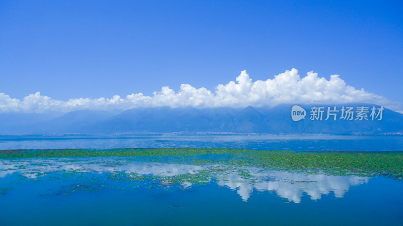 大理洱海