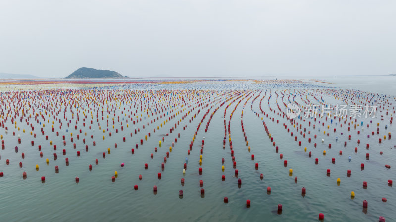 海洋生态养殖牧场鲍鱼养殖