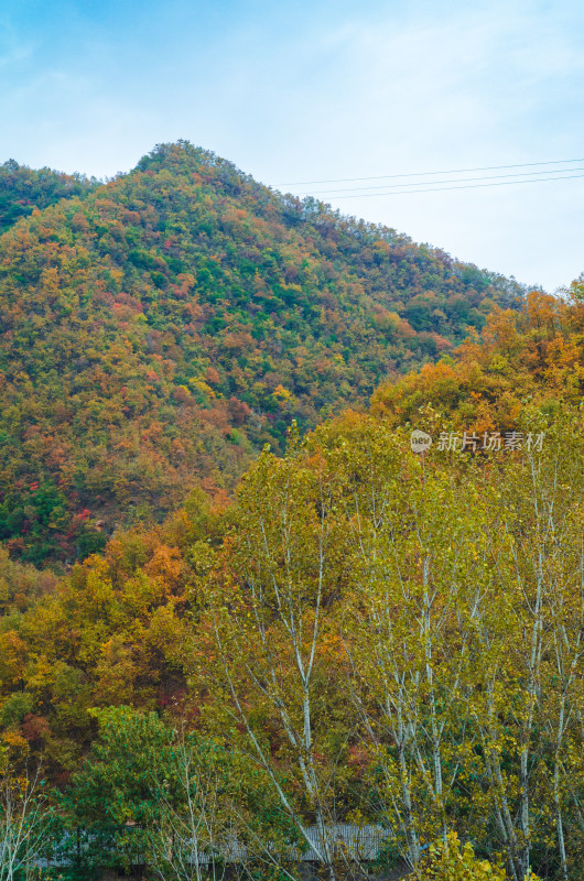 河南洛阳白云山风景区秋天的自然风光