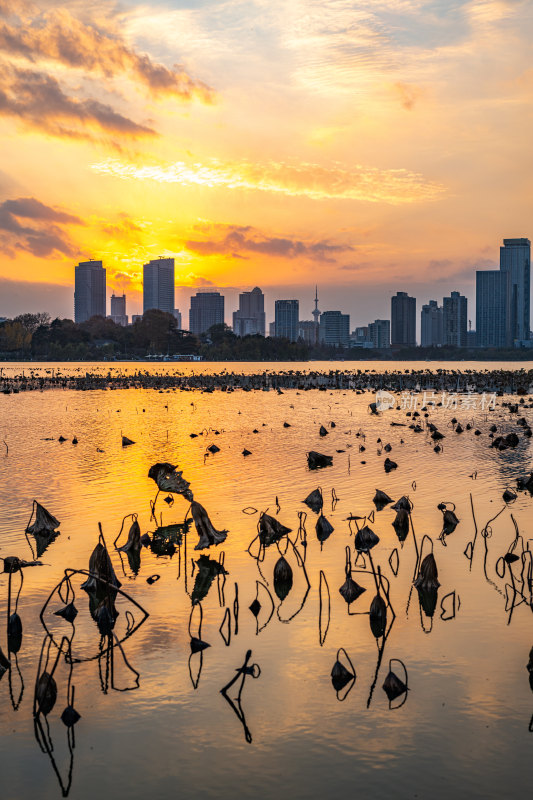 黄昏夕阳南京玄武湖城市建筑景观