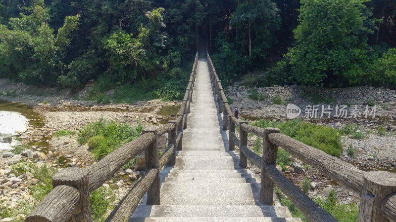 林间木栏步道通向绿意深处