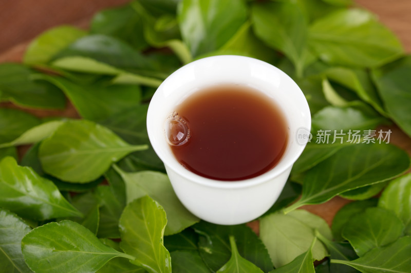 一杯茯茶在绿色叶子背景上