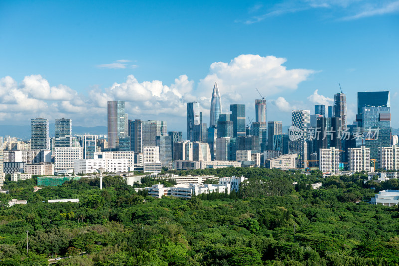 现代都市高楼与绿植景观