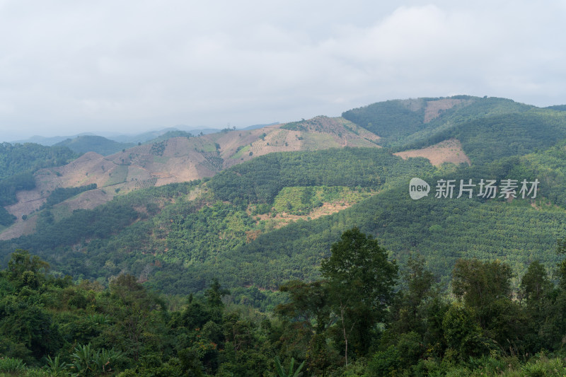 翠绿山峦的自然画卷