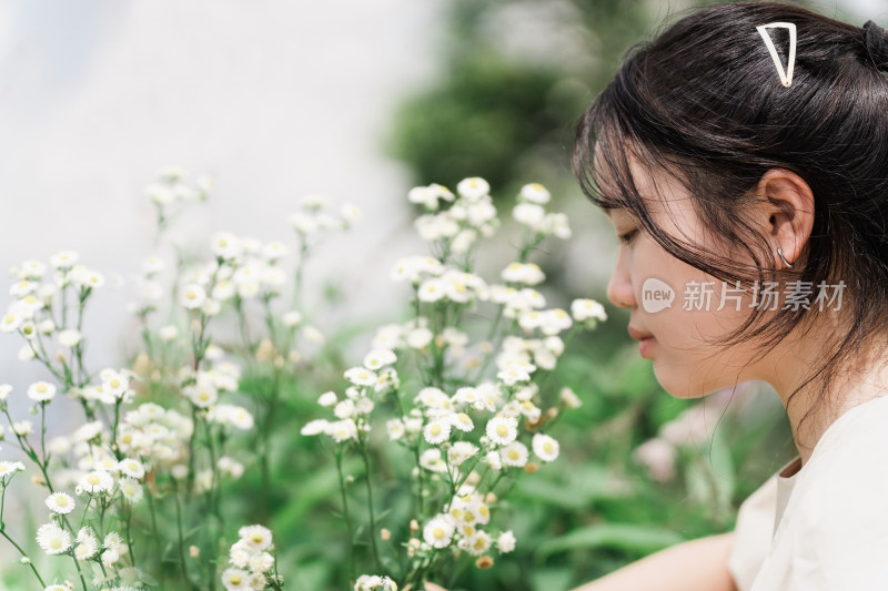 旅游景区欣赏白色小雏菊的中国女孩