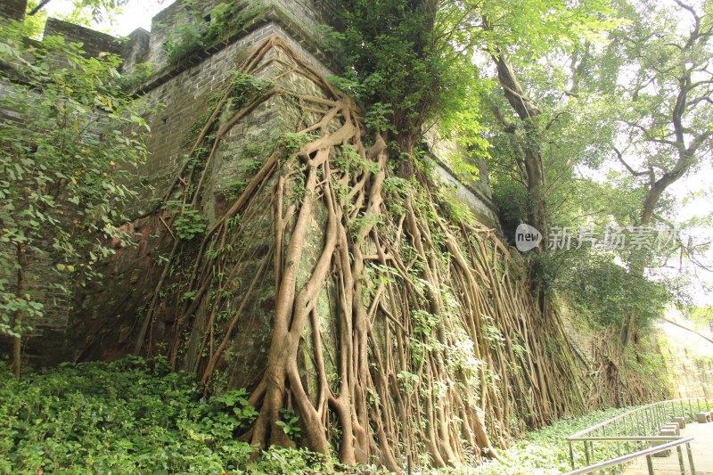 广东广州：明代古城墙