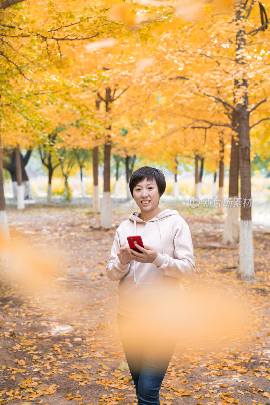 秋天在银杏树林中使用手机的女性