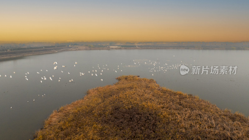 杭州大江东大湾区湿地公园候鸟栖息地