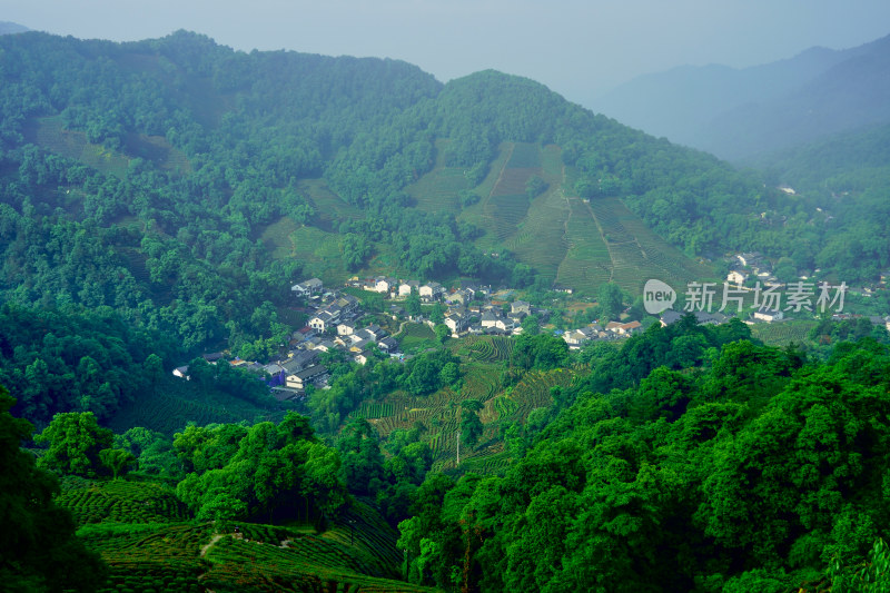 浙江杭州龙井村