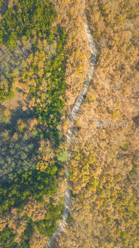 航拍秋天的山林风景