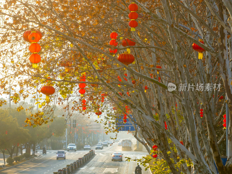 大红灯笼高高挂_2