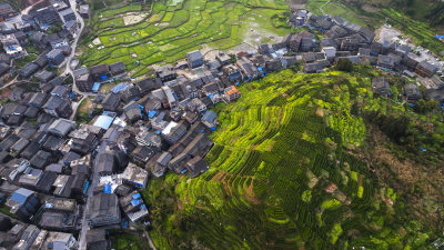 广西柳州市程阳八寨春天风光