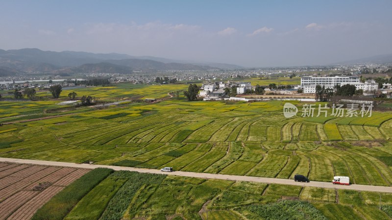 田野公路车辆航拍全景