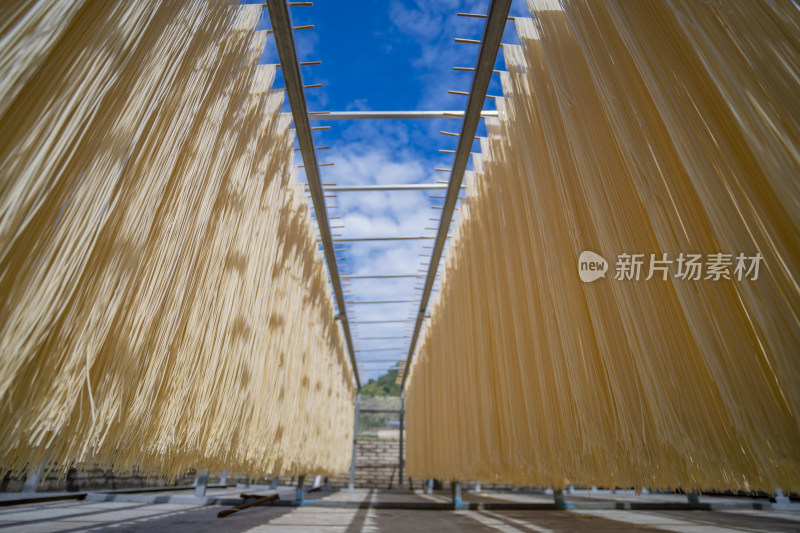 干面条 挂面 鸡蛋面 条面 条干 素面条