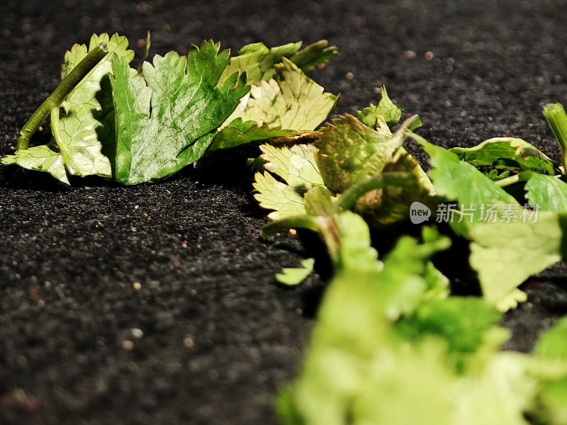 散落的香菜叶片