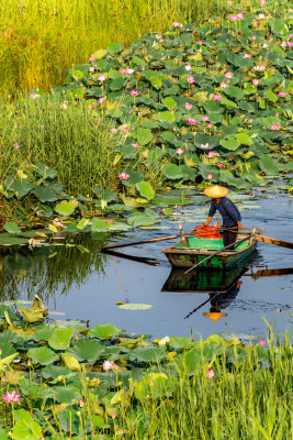 中国邹城孟子湖湖泊湿地渔船自然景观