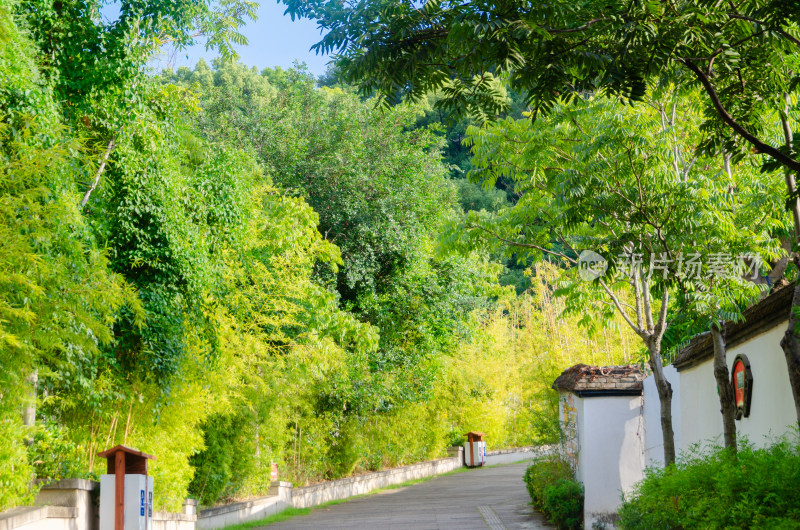 亚洲中国福建省福州市于山风景区林荫道