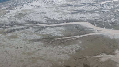 杭州市钱塘江钱江潮潮汐树大地之树航拍