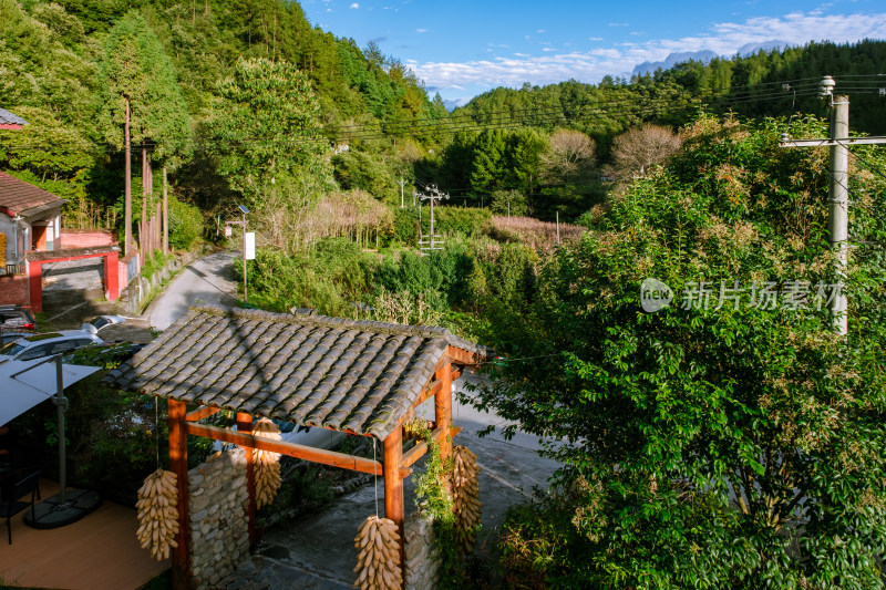 汉中留坝火烧店镇秦岭深处的山村田园风光