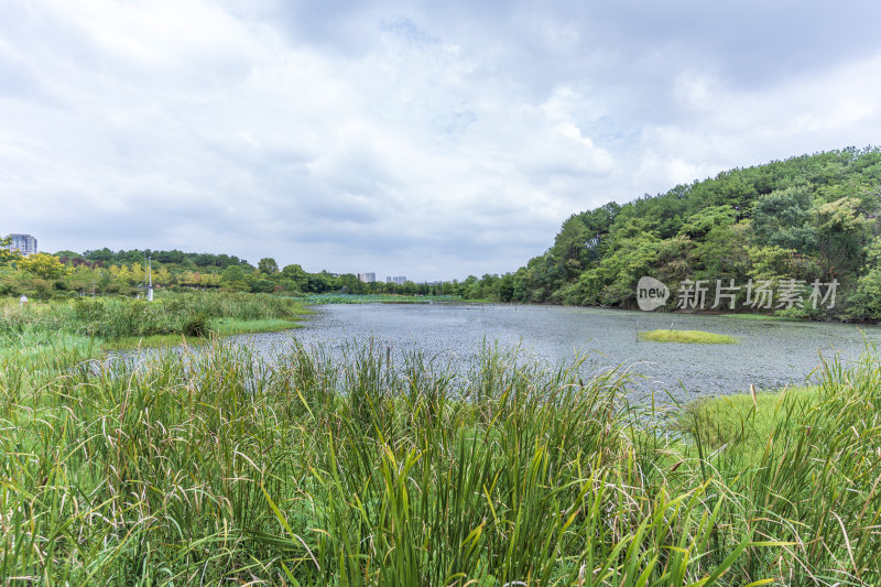 武汉江夏区藏龙岛国家湿地公园风景