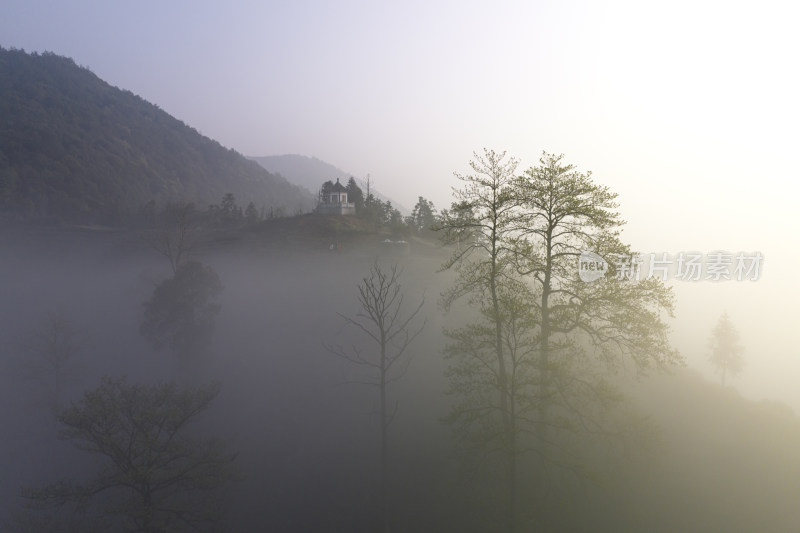 杭州大径山茶园风光