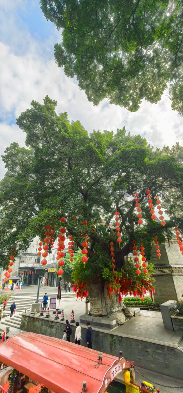 广州市荔湾湖公园许愿树