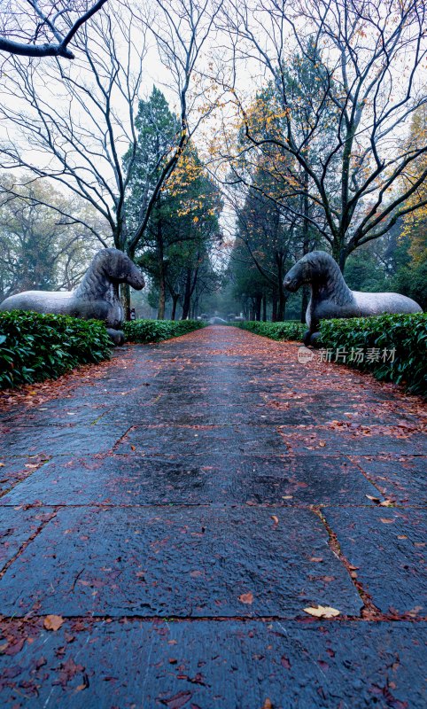 南京明孝陵雨中石像与园林牌坊景观