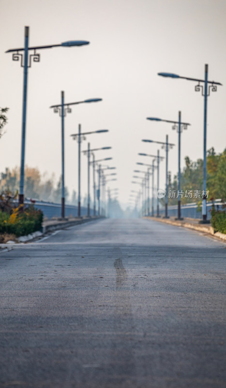 道路上整齐排列的中式路灯