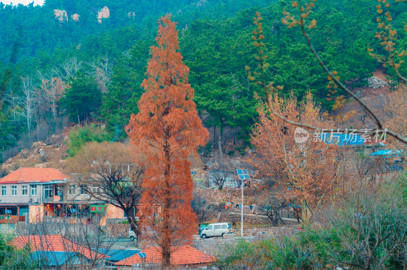 山东青岛崂山北九水风景区，村落秋季风光