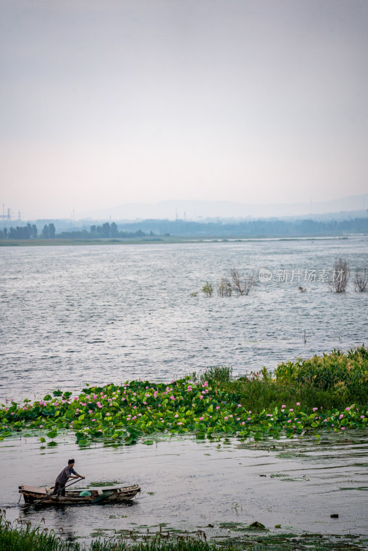 夏天的邹城孟子湖湿地湖泊自然景观