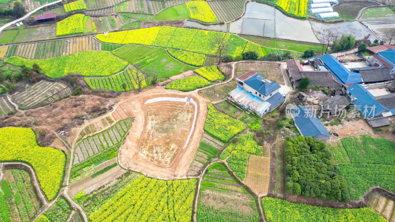 俯拍农田农业种植油菜花