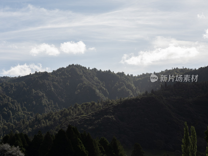 新西兰深山里的农场