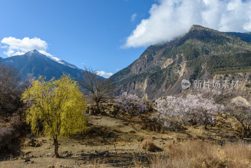 林芝自然风光高清照片